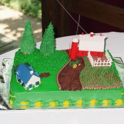 Farmer Groom's Cake