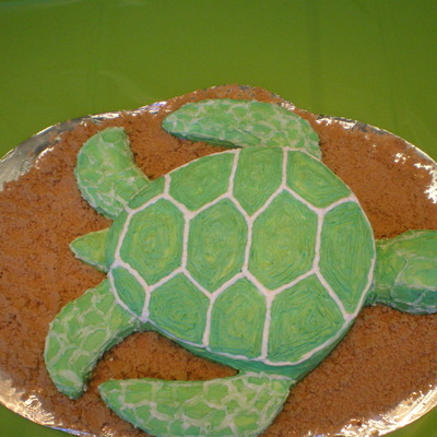 Sea Turtle
