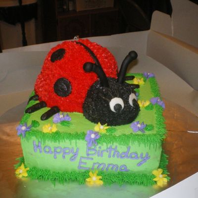 Ladybug Birthday Cake
