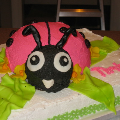Lady Bug Cake