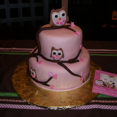Owl Cake For One Year Old