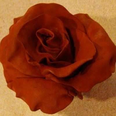Deep Cinnamon "suede" Rose