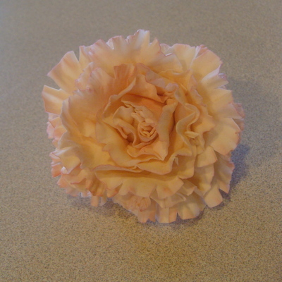 Light Pink Carnation