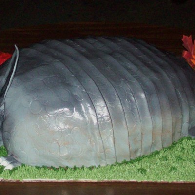 Armadillo