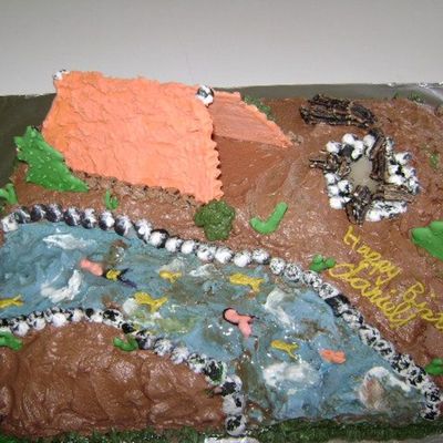 Camping Cake