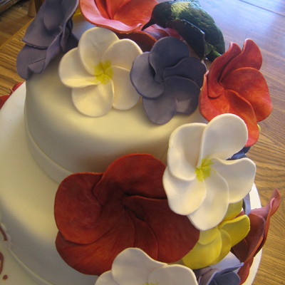 Hummingbird Anniversary