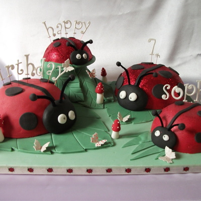 Ladybird Family