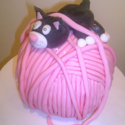 Cat And Wool