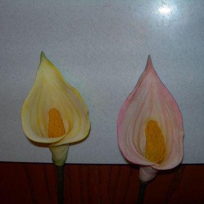 Calla Lillies