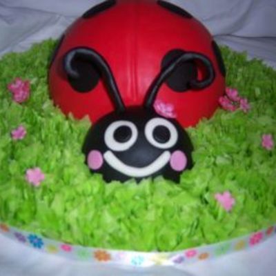 Ladybug Dummy Cake