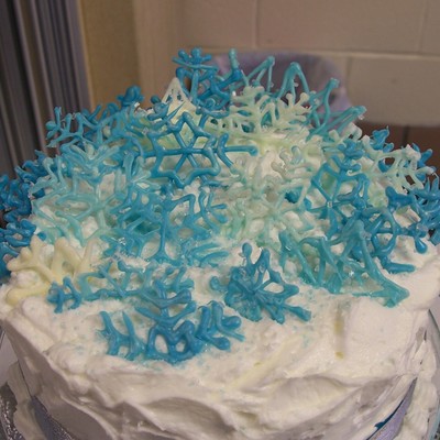 Winter Wedding Cake/cupcakes