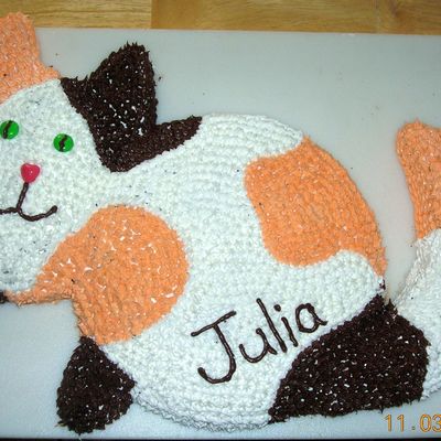Calico Cat