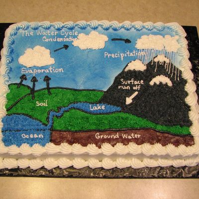 Water Cycle