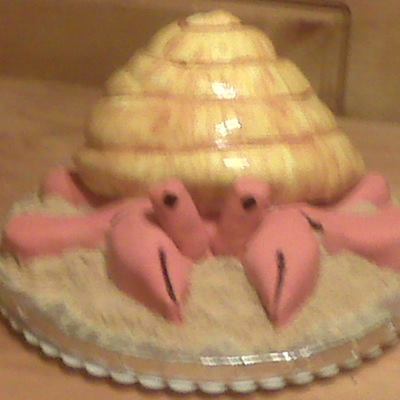 Hermit Crab