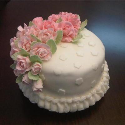 My First Fondant & Gumpaste