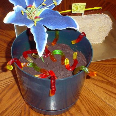 Pot O' Dirt