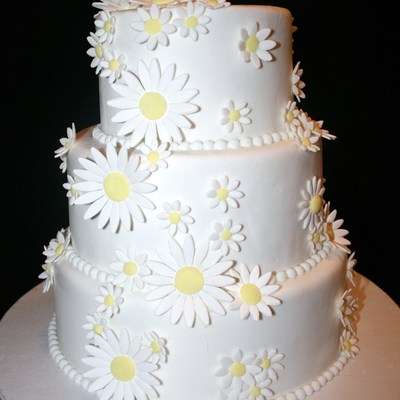 Draping Daisies