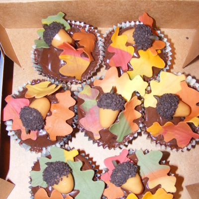 Fall Cupcakes