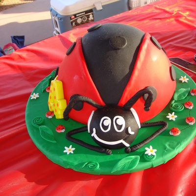 Ladybug Birthday Cake...