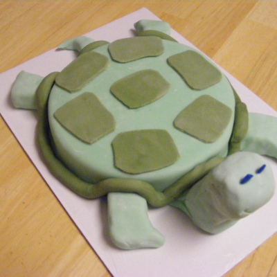 Turtle Cake