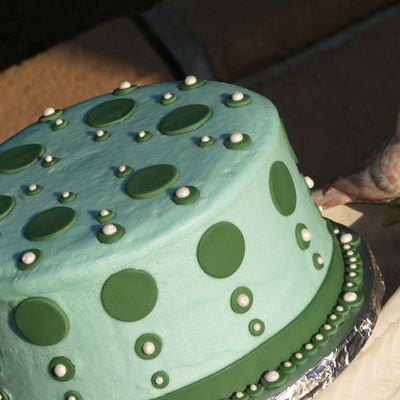 I See Spots