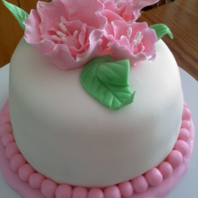 Fondant & Gumpaste Final