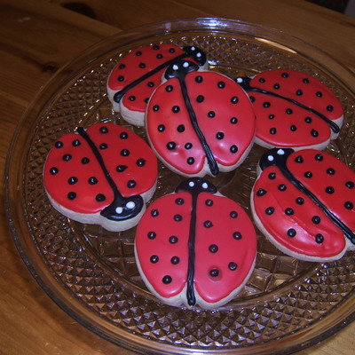 Ladybugs