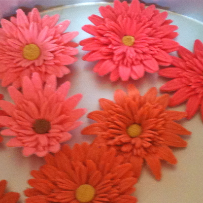 My Gerbera Daisies