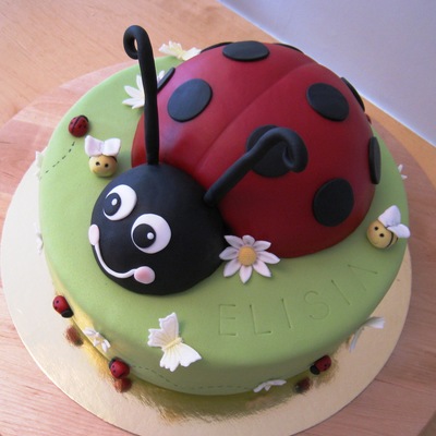 Ladybird Cake