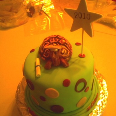 Turtle Cake