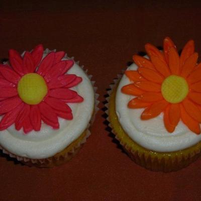 Pink & Orange Gerber Daisy Cupcakes
