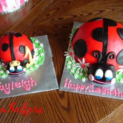 Lady Bug
