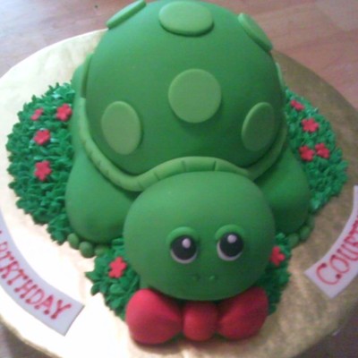 Sweet Turtle Cake