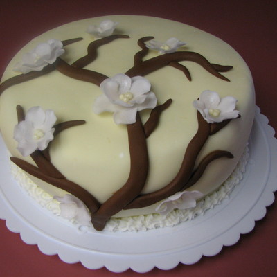 My Parent's Anniversary Cake