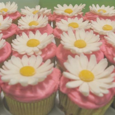 Daisy Cupcakes