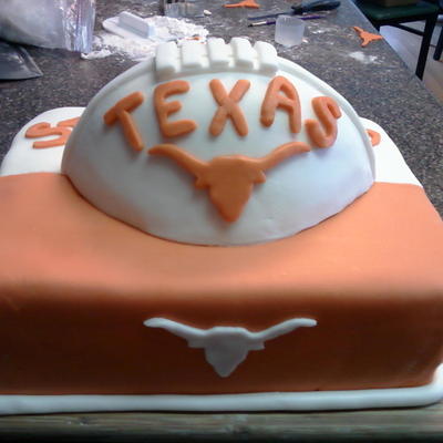 Longhorn Cake
