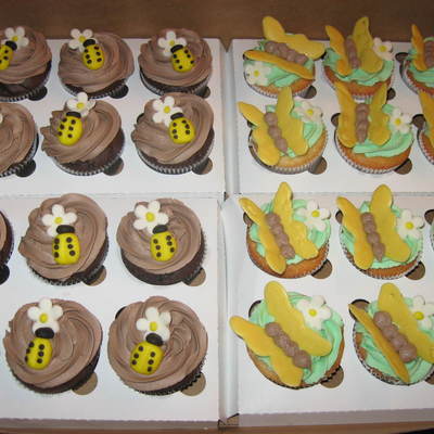 Butterfly And Ladybug Cupcakes