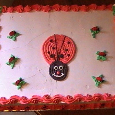 Lady Bug Cake