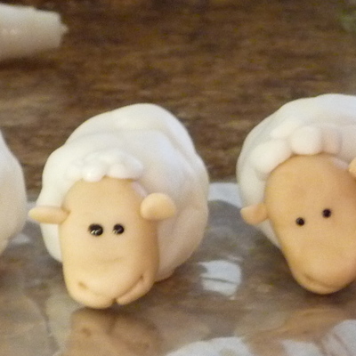 Sheep