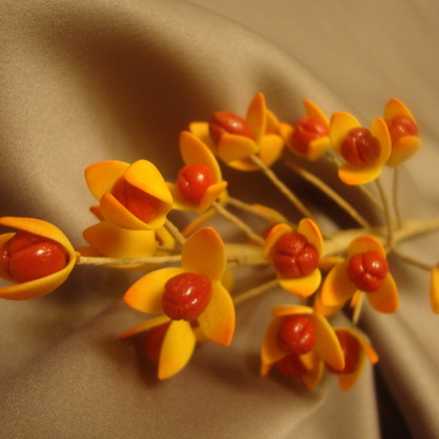 Bittersweet Berry Spray