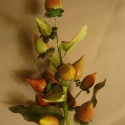 Hypericum Berry Spray