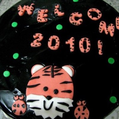 My Welcome 2010 Year Of The Tiger
