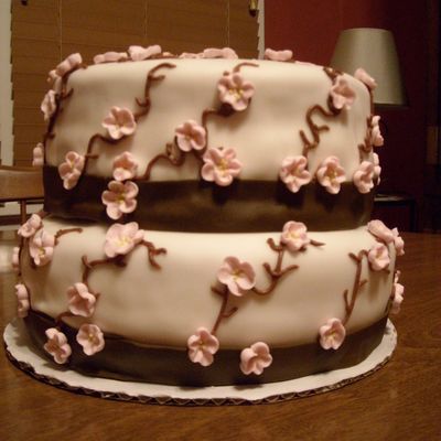 My First Stacked Cake