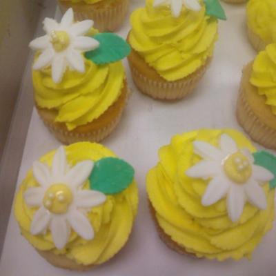 Wilton Course 3 Final Cupcakes