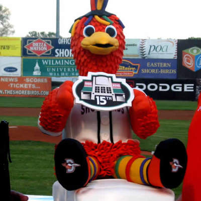 Delmarva Shorebirds Cake (Minor League Baseball)