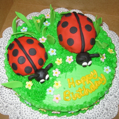Lady Bug