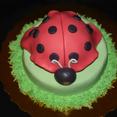 Ladybug Cake