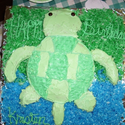 Turtle Cake
