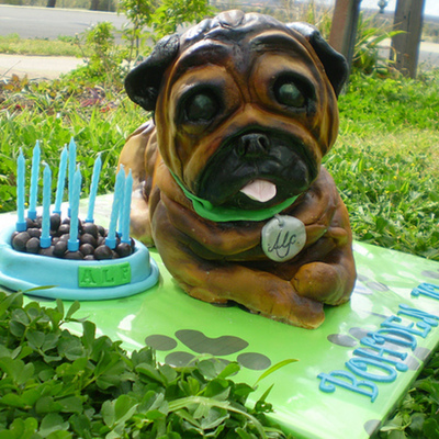 Pug Cake