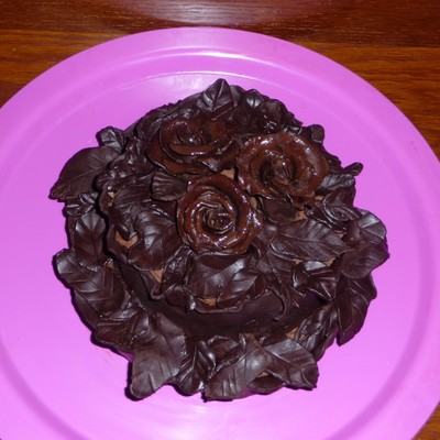 Chocolate Plastic Cake